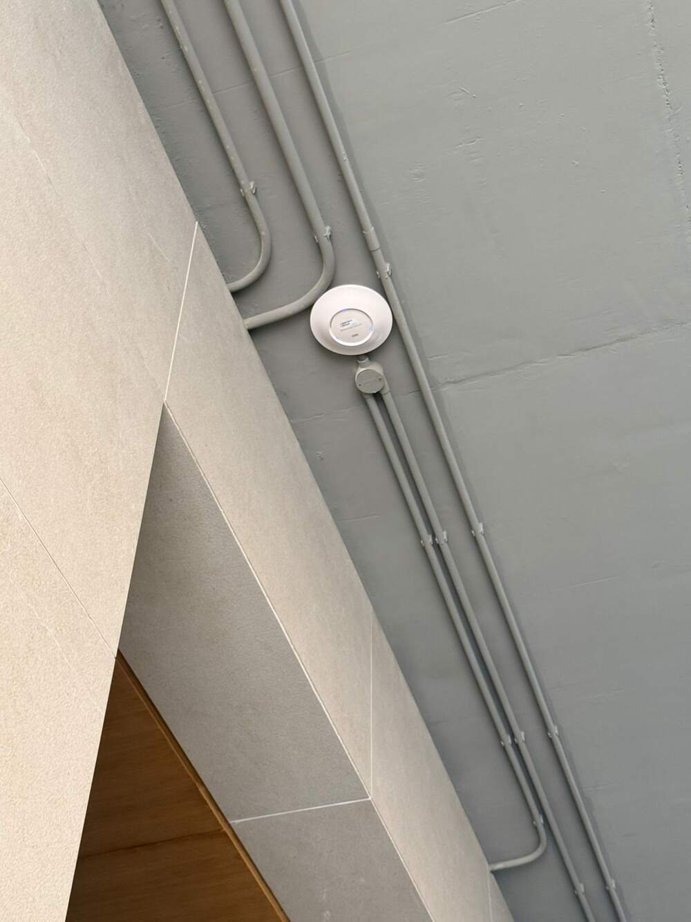 Enterprise Networking